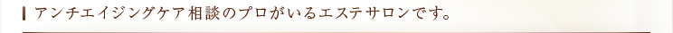 アンチエイジングケア相談のプロがいるエステサロンです。