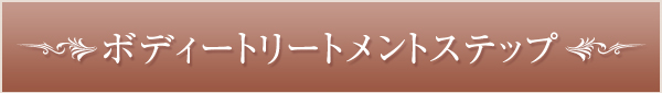 ボディートリートメントステップ