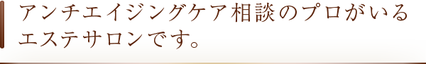 アンチエイジングケア相談のプロがいるエステサロンです。